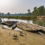 2024-10 - Népal - J11 - Parc National de Chitwan - 054